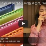 韓国のハーモニカ講師の動画(Harmonica の先生)